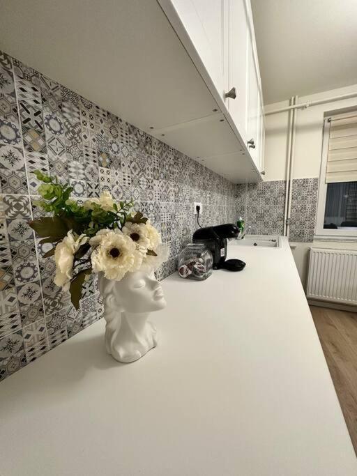 Ultracentral Luxury Apartament Тимишоара Экстерьер фото
