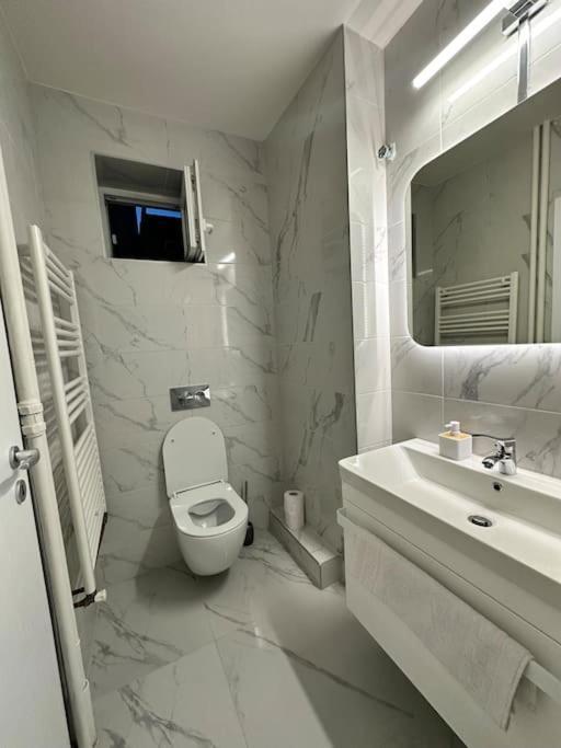 Ultracentral Luxury Apartament Тимишоара Экстерьер фото